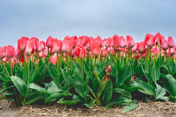 Transform your uk home: crafting an engaging multi-sensory kids' playroom
